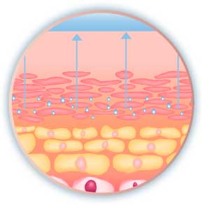 Сыворотка Hyaluronic Acid